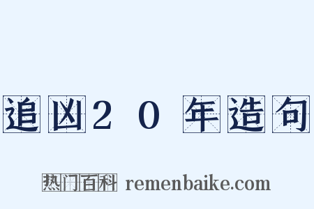 追凶20年造句是什么意思的图片